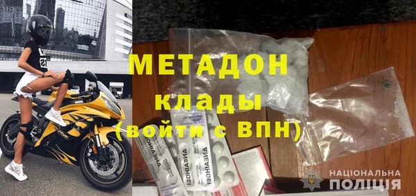 прущие грибы Алзамай