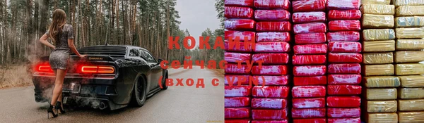 прущие грибы Алексеевка