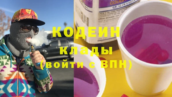 прущие грибы Алзамай