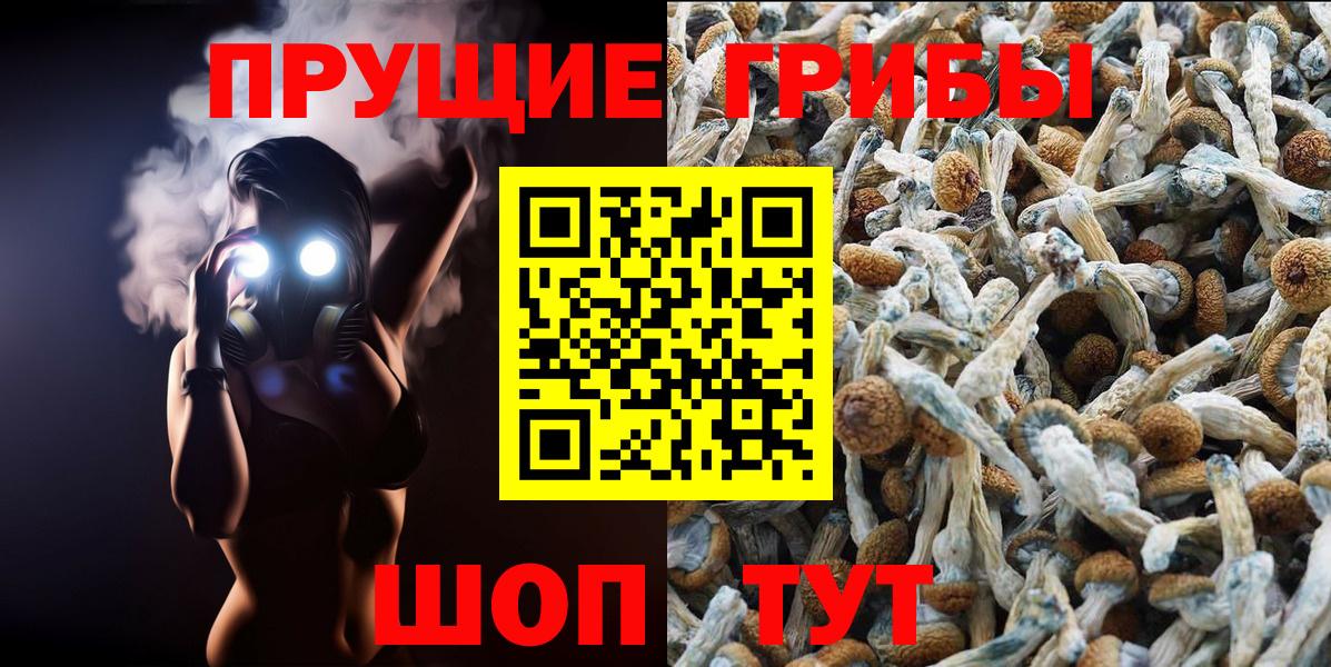 Псилоцибиновые грибы мухоморы  Вход с VPN  Галлюциногенные грибы Psilocybe  Пермь 